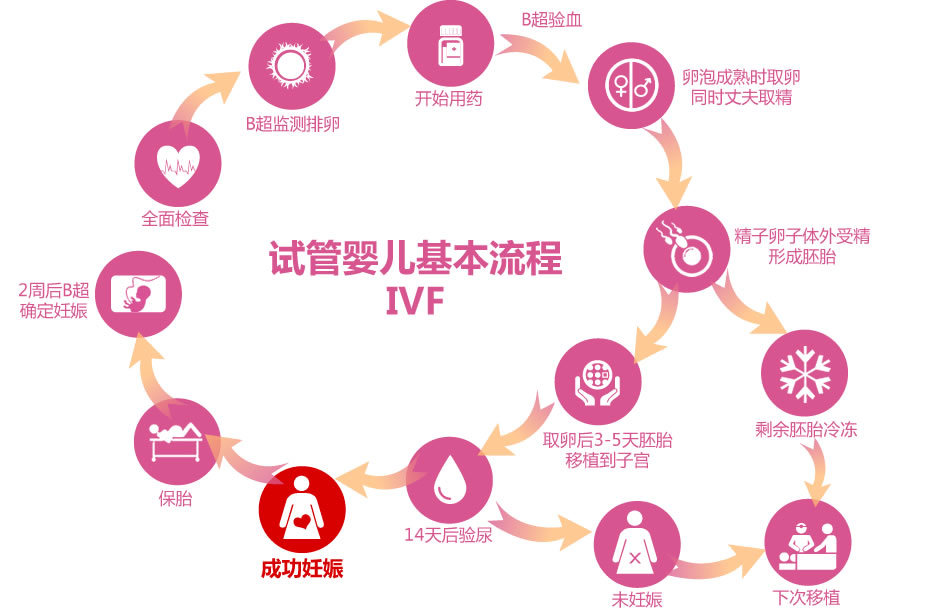 石家庄哪里可以捐情